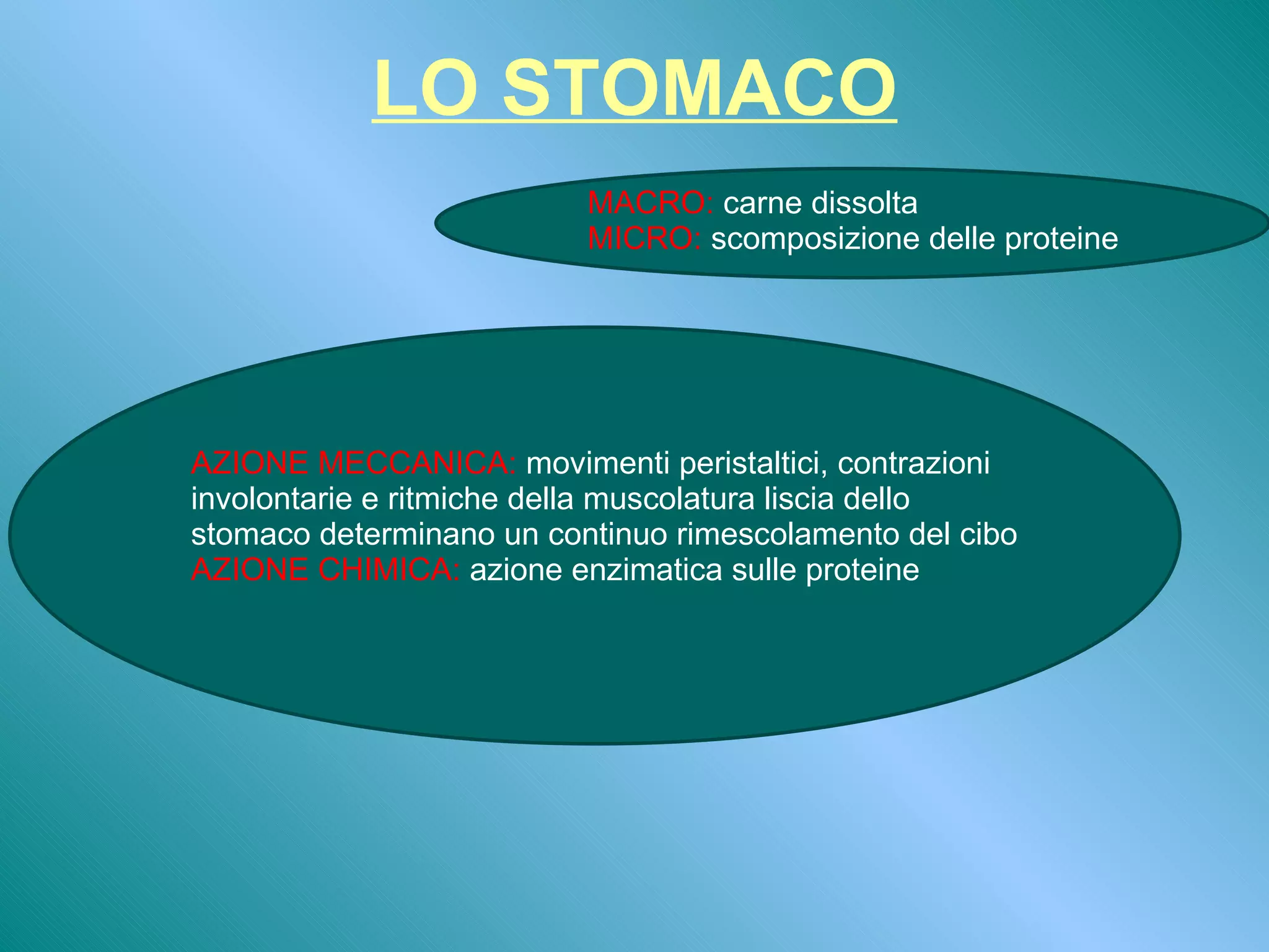 Ganci, Fasce e Cinghie: i tuoi accessori per l'allenamento