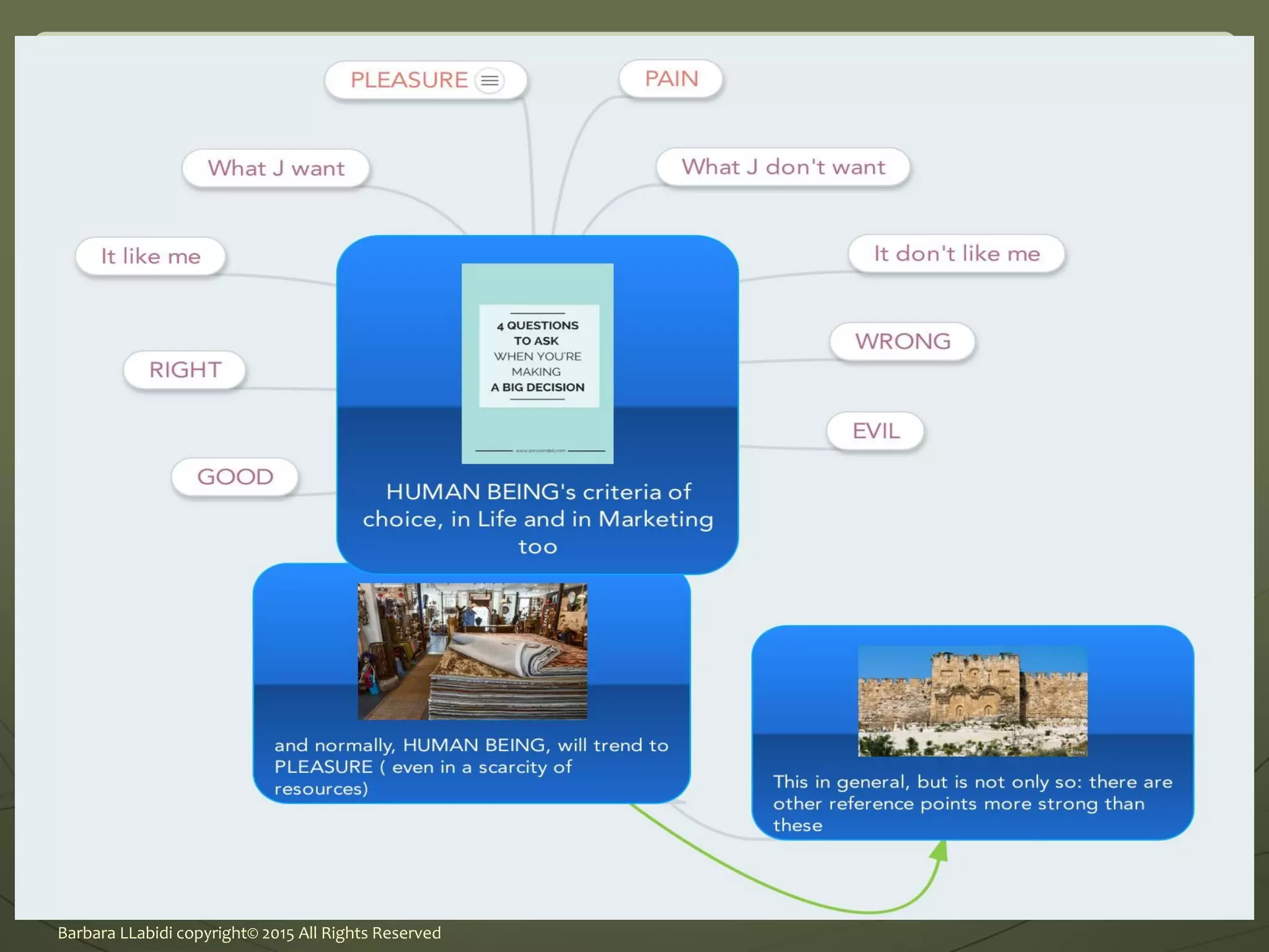 Barbara LLabidi copyright© 2015 All Rights Reserved
 