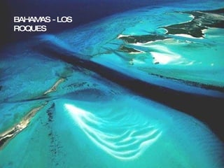 CORSE BAHAMAS - LOS ROQUES 