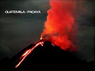 GUATEMALA - PACAYA 