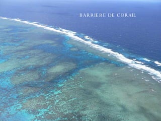 BARRIERE DE CORAIL 