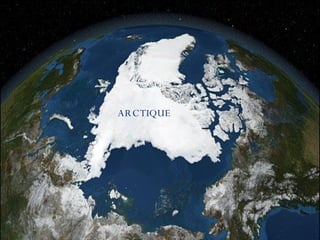 ARCTIQUE  