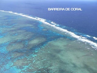 BARREIRA DE CORAL 