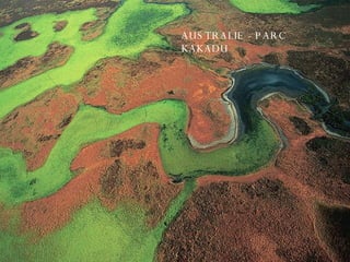 AUSTRALIE - PARC KAKADU 
