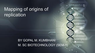 Mapping of origins of
replication
BY GOPAL M. KUMBHANI
M. SC BIOTECHNOLOGY (SEM-1)
1
 