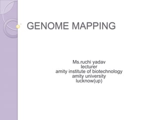 GENOME MAPPING Ms.ruchiyadavlectureramity institute of biotechnologyamity universitylucknow(up) 