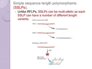 Genome Mapping | PPTX
