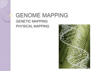 Genome Mapping | PPT