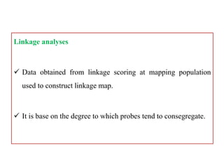 Mapping | PPTX