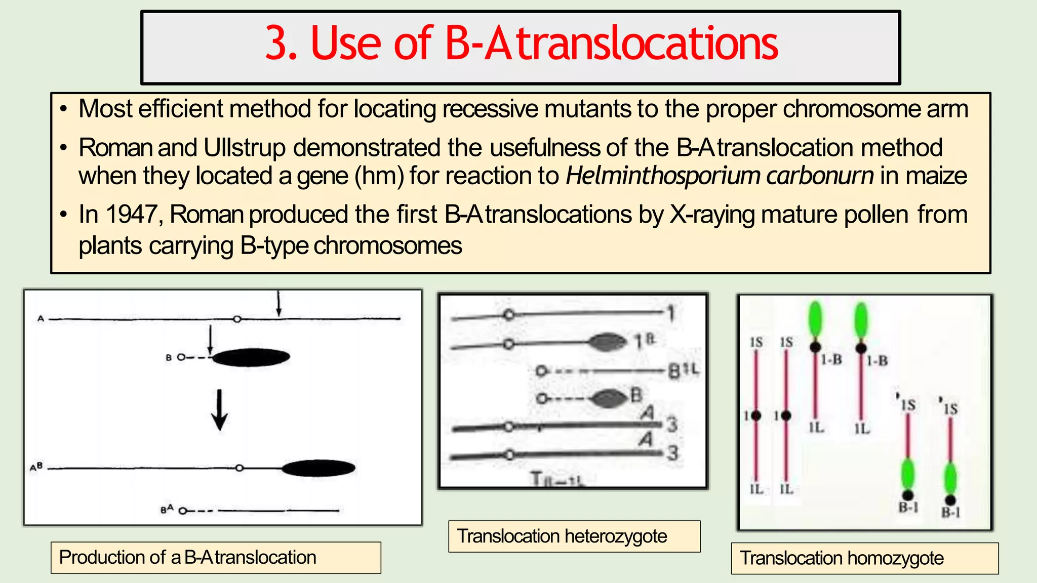 Location and mapping of chromosomes using conventional and cytological ...