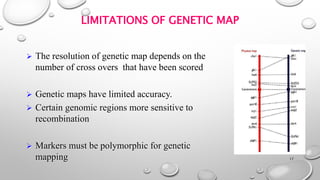 Gene Map Problem Location and mapping of chromosomes using conventional and cytological ...