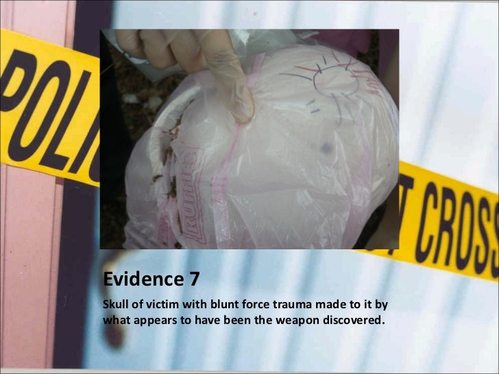 Mapping Evidence The Trash Bag Killer