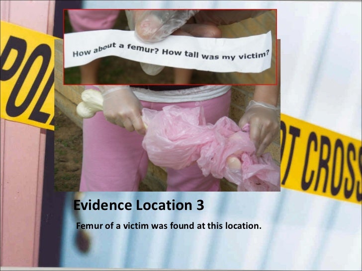 Mapping Evidence The Trash Bag Killer