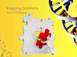 Mapping Solutions
The HYIP Project
 