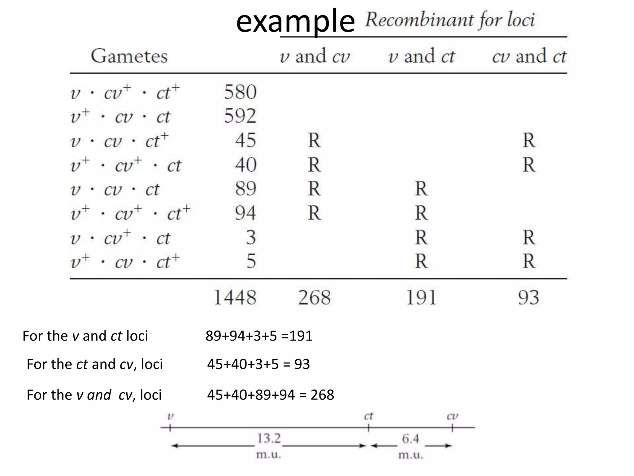 example
For the v and ct loci 89+94+3+5 =191
For the ct and cv, loci 45+40+3+5 = 93
For the v and cv, loci 45+40+89+94 = 268
 