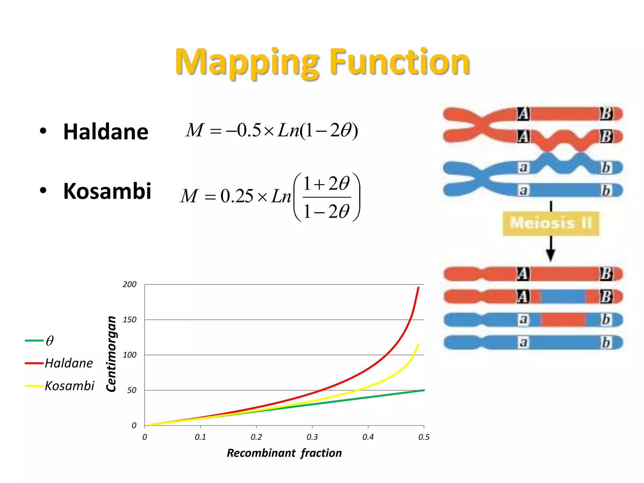 Mapping Function
• Haldane
• Kosambi
0
50
100
150
200
0 0.1 0.2 0.3 0.4 0.5
Centimorgan
Recombinant fraction

Haldane
Kosambi
)21(5.0  LnM











21
21
25.0 LnM
 
