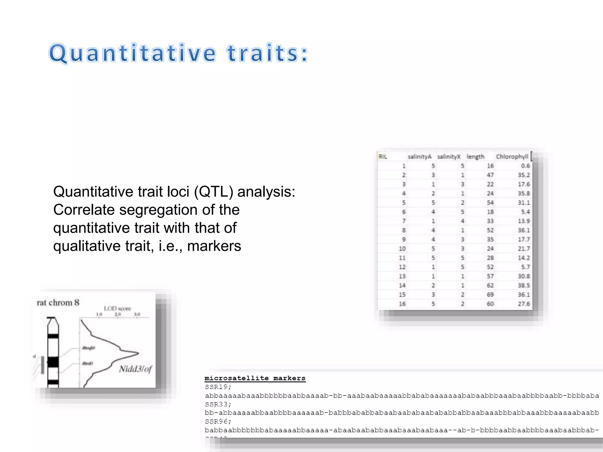 Quantitative trait loci (QTL) analysis:
Correlate segregation of the
quantitative trait with that of
qualitative trait, i.e., markers
 