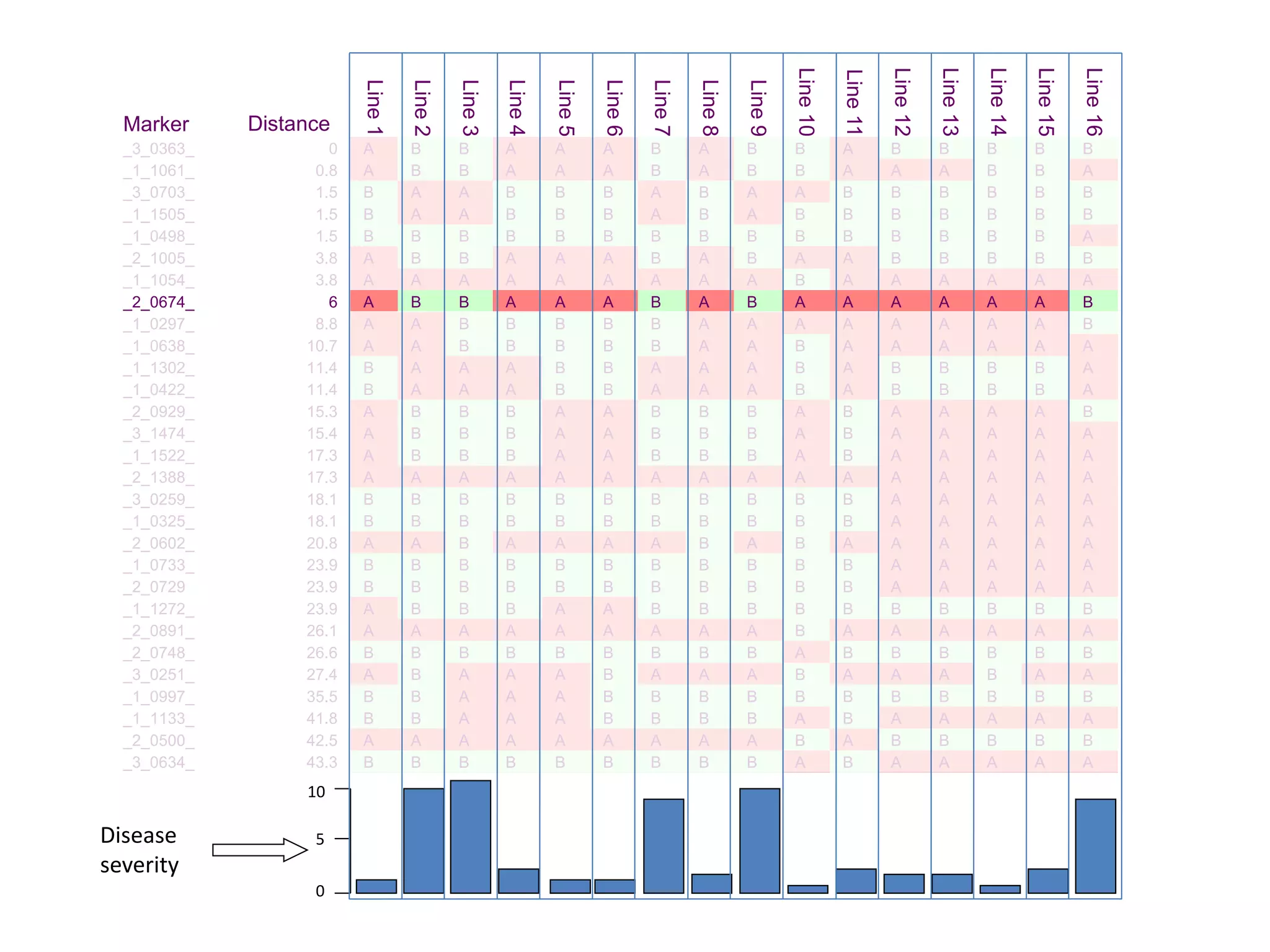 Marker Distance
Line1
Line2
Line3
Line4
Line5
Line6
Line7
Line8
Line9
Line10
Line11
Line12
Line13
Line14
Line15
Line16
_3_0363_ 0 A B B A A A B A B B A B B B B B
_1_1061_ 0.8 A B B A A A B A B B A A A B B A
_3_0703_ 1.5 B A A B B B A B A A B B B B B B
_1_1505_ 1.5 B A A B B B A B A B B B B B B B
_1_0498_ 1.5 B B B B B B B B B B B B B B B A
_2_1005_ 3.8 A B B A A A B A B A A B B B B B
_1_1054_ 3.8 A A A A A A A A A B A A A A A A
_2_0674_ 6 A B B A A A B A B A A A A A A B
_1_0297_ 8.8 A A B B B B B A A A A A A A A B
_1_0638_ 10.7 A A B B B B B A A B A A A A A A
_1_1302_ 11.4 B A A A B B A A A B A B B B B A
_1_0422_ 11.4 B A A A B B A A A B A B B B B A
_2_0929_ 15.3 A B B B A A B B B A B A A A A B
_3_1474_ 15.4 A B B B A A B B B A B A A A A A
_1_1522_ 17.3 A B B B A A B B B A B A A A A A
_2_1388_ 17.3 A A A A A A A A A A A A A A A A
_3_0259_ 18.1 B B B B B B B B B B B A A A A A
_1_0325_ 18.1 B B B B B B B B B B B A A A A A
_2_0602_ 20.8 A A B A A A A B A B A A A A A A
_1_0733_ 23.9 B B B B B B B B B B B A A A A A
_2_0729 23.9 B B B B B B B B B B B A A A A A
_1_1272_ 23.9 A B B B A A B B B B B B B B B B
_2_0891_ 26.1 A A A A A A A A A B A A A A A A
_2_0748_ 26.6 B B B B B B B B B A B B B B B B
_3_0251_ 27.4 A B A A A B A A A B A A A B A A
_1_0997_ 35.5 B B A A A B B B B B B B B B B B
_1_1133_ 41.8 B B A A A B B B B A B A A A A A
_2_0500_ 42.5 A A A A A A A A A B A B B B B B
_3_0634_ 43.3 B B B B B B B B B A B A A A A A
0
10
5Disease
severity
 