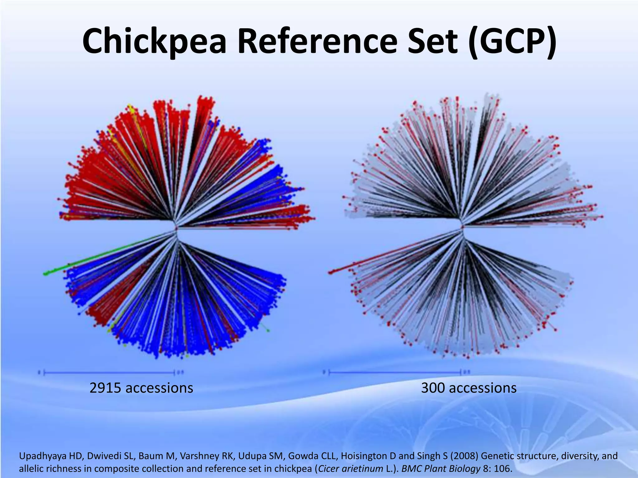 300 accessions2915 accessions
Chickpea Reference Set (GCP)
Upadhyaya HD, Dwivedi SL, Baum M, Varshney RK, Udupa SM, Gowda CLL, Hoisington D and Singh S (2008) Genetic structure, diversity, and
allelic richness in composite collection and reference set in chickpea (Cicer arietinum L.). BMC Plant Biology 8: 106.
 