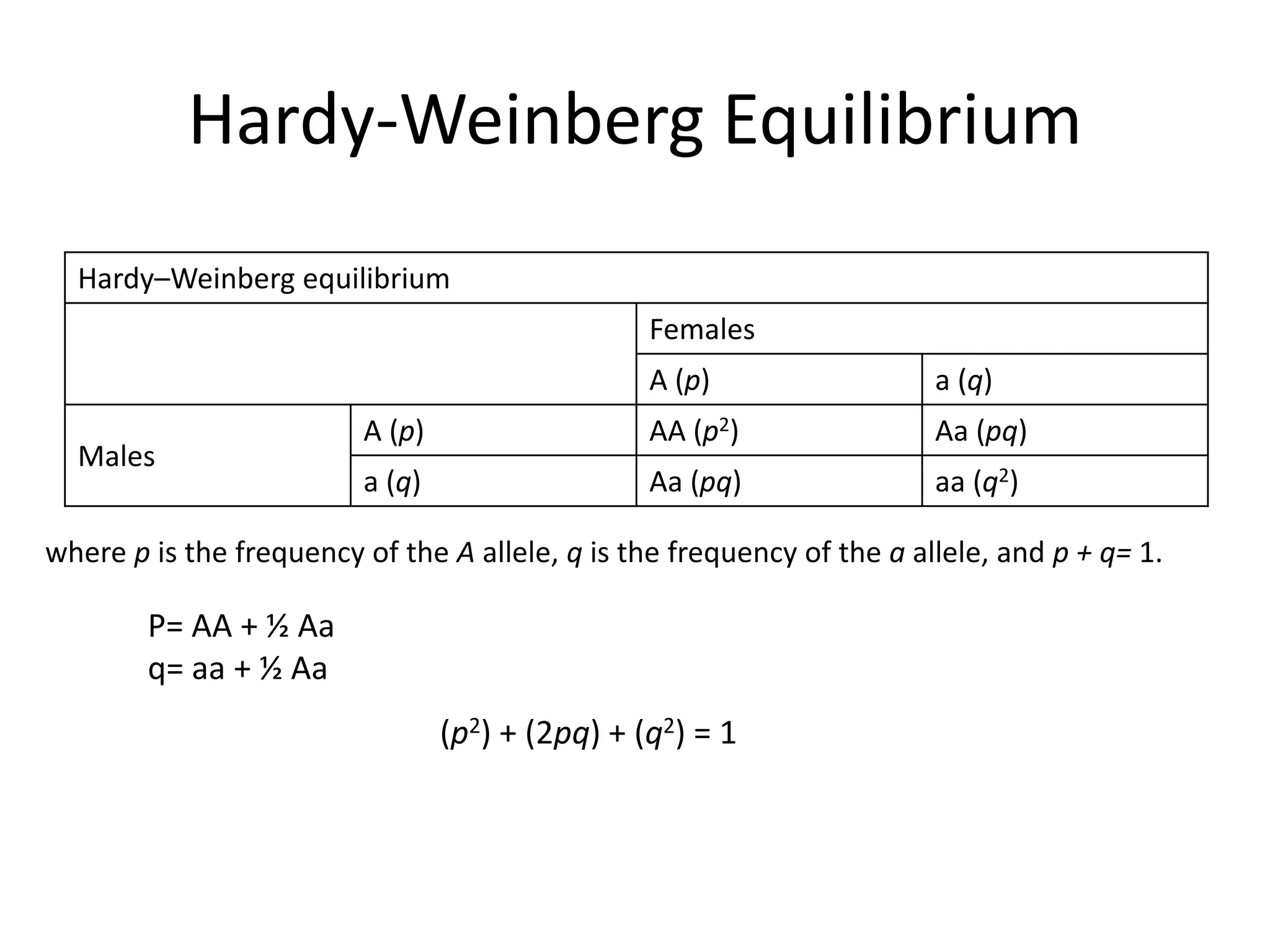 Hardy-Weinberg Equilibrium
Hardy–Weinberg equilibrium
Females
A (p) a (q)
Males
A (p) AA (p2) Aa (pq)
a (q) Aa (pq) aa (q2)
(p2) + (2pq) + (q2) = 1
P= AA + ½ Aa
q= aa + ½ Aa
where p is the frequency of the A allele, q is the frequency of the a allele, and p + q= 1.
 