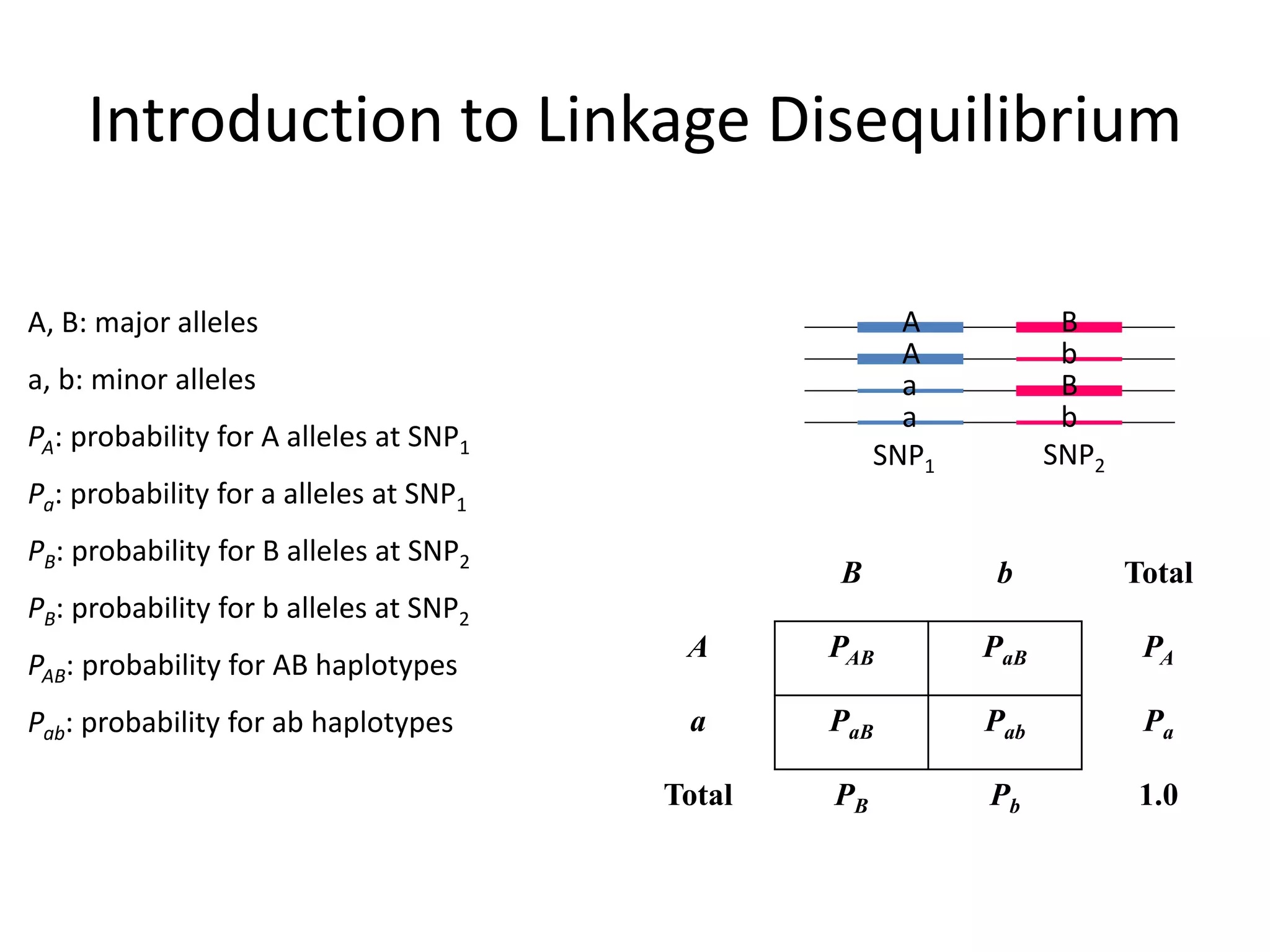 Introduction to Linkage Disequilibrium
B b Total
A PAB PaB PA
a PaB Pab Pa
Total PB Pb 1.0
A B
A b
a B
a b
A, B: major alleles
a, b: minor alleles
PA: probability for A alleles at SNP1
Pa: probability for a alleles at SNP1
PB: probability for B alleles at SNP2
PB: probability for b alleles at SNP2
PAB: probability for AB haplotypes
Pab: probability for ab haplotypes
SNP1 SNP2
 