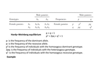 Mapping and association mapping | PPTX
