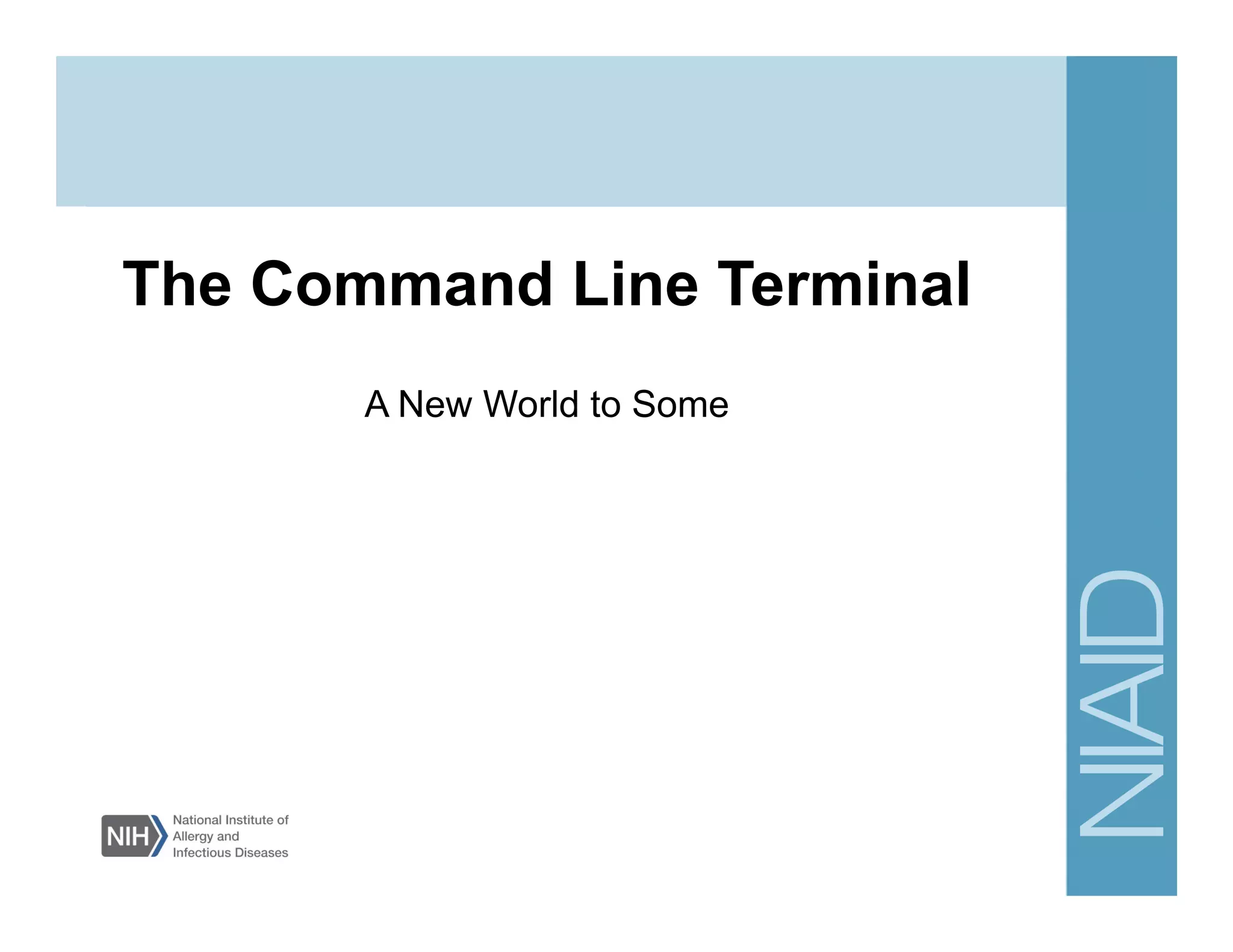 The Command Line Terminal
A New World to Some
 