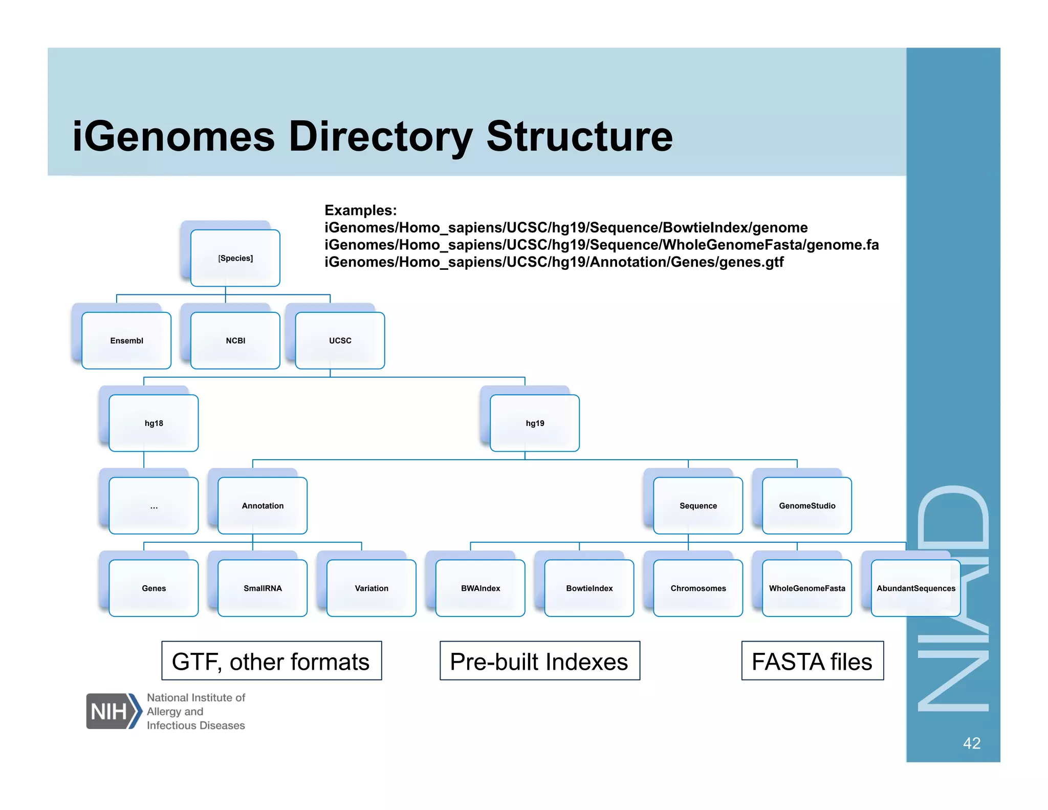 iGenomes Directory Structure
[Species]
Ensembl NCBI UCSC
hg18
…
hg19
Annotation
Genes SmallRNA Variation
Sequence
BWAIndex BowtieIndex Chromosomes WholeGenomeFasta AbundantSequences
GenomeStudio
42
GTF, other formats FASTA filesPre-built Indexes
Examples:
iGenomes/Homo_sapiens/UCSC/hg19/Sequence/BowtieIndex/genome
iGenomes/Homo_sapiens/UCSC/hg19/Sequence/WholeGenomeFasta/genome.fa
iGenomes/Homo_sapiens/UCSC/hg19/Annotation/Genes/genes.gtf
 