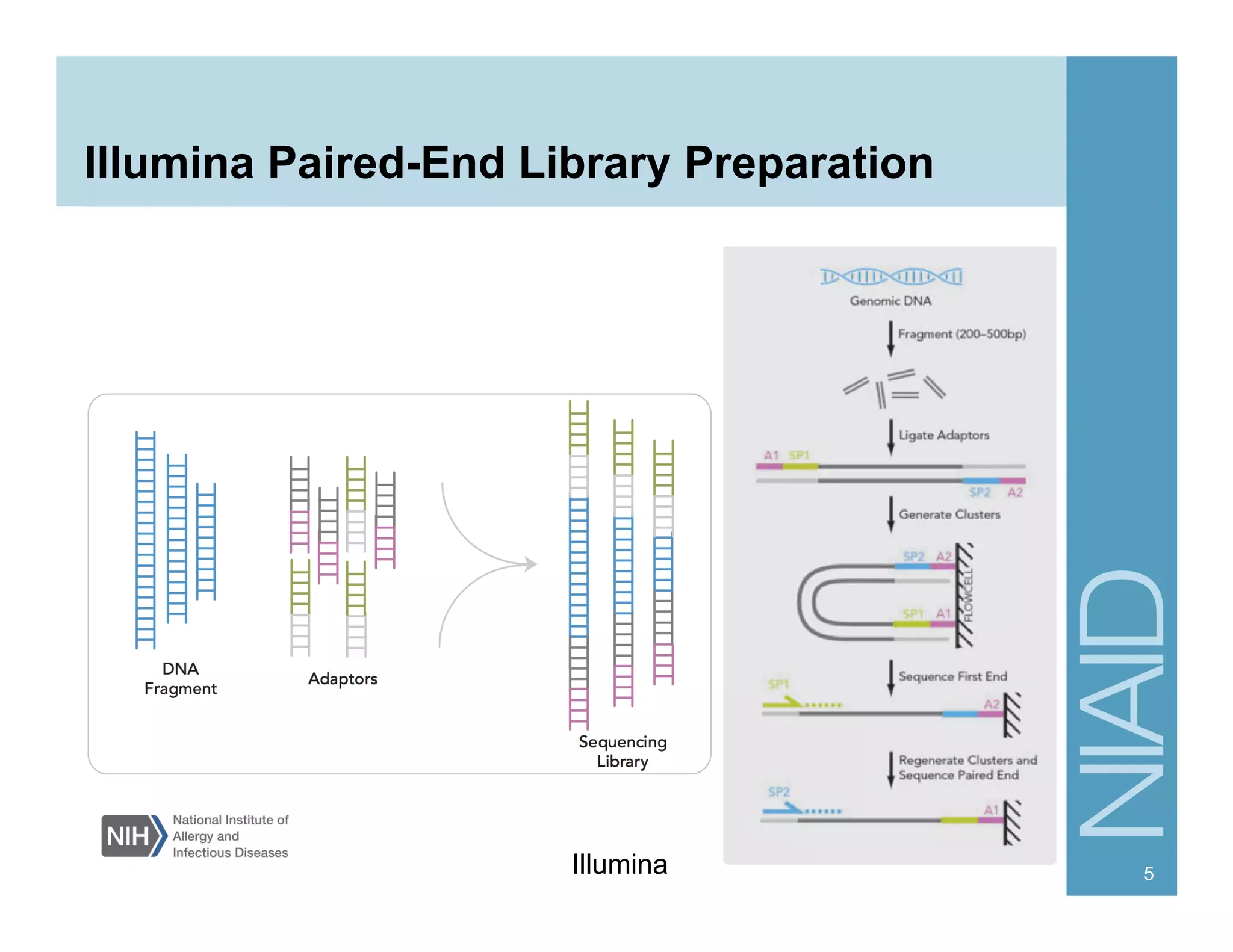 Illumina Paired-End Library Preparation
5Illumina
 