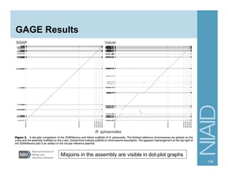 GAGE Results
104
Misjoins in the assembly are visible in dot-plot graphs
 