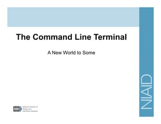 The Command Line Terminal
A New World to Some
 