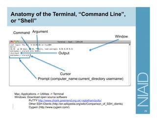 Anatomy of the Terminal, “Command Line”,
or “Shell”
Prompt (computer_name:current_directory username)
Cursor
Command Argument
Window
Output
Mac: Applications -> Utilities -> Terminal
Windows: Download open source software
PuTTY http://www.chiark.greenend.org.uk/~sgtatham/putty/
Other SSH Clients (http://en.wikipedia.org/wiki/Comparison_of_SSH_clients)
Cygwin (http://www.cygwin.com/)
29
 