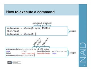 How to execute a command
command argument
output
output
30
 
