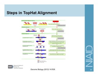 Steps in TopHat Alignment
39Genome Biology (2013) 14:R36.
 