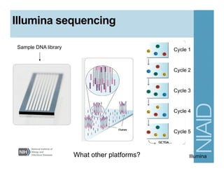 Illumina
Sample DNA library
Illumina sequencing
What other platforms?
Cycle 1
Cycle 2
Cycle 3
Cycle 4
Cycle 5
 