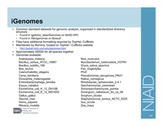 iGenomes
§  Common standard datasets for genomic analysis, organized in standardized directory
structure
•  Found in /gpfs/bio_data/iGenomes on NIAID HPC
•  Found in /fdb/igenomes on Biowulf
§  Files have additional formatting required by TopHat, Cufflinks
§  Maintained by Illumina, hosted on TopHat / Cufflinks website
•  http://tophat.cbcb.umd.edu/igenomes.html
§  Approximately 500Gb for all species together
§  Genomes available:
41
Arabidopsis_thaliana
Bacillus_cereus_ATCC_10987
Bacillus_subtilis_168
Bos_taurus
Caenorhabditis_elegans
Canis_familiaris
Drosophila_melanogaster
Enterobacteriophage_lamdba
Equus_caballus
Escherichia_coli_K_12_DH10B
Escherichia_coli_K_12_MG1655
Gallus_gallus
Glycine_max
Homo_sapiens
Macaca_mulatta
Mus_musculus
Mycobacterium_tuberculosis_H37RV
Oryza_sativa_japonica
Pan_troglodytes
PhiX
Pseudomonas_aeruginosa_PAO1
Rattus_norvegicus
Rhodobacter_sphaeroides_2.4.1
Saccharomyces_cerevisiae
Schizosaccharomyces_pombe
Sorangium_cellulosum_So_ce_56
Sorghum_bicolor
Staphylococcus_aureus_NCTC_8325
Sus_scrofa
Zea_mays
 