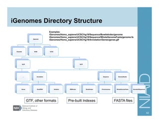 iGenomes Directory Structure
[Species]
Ensembl NCBI UCSC
hg18
…
hg19
Annotation
Genes SmallRNA Variation
Sequence
BWAIndex BowtieIndex Chromosomes WholeGenomeFasta AbundantSequences
GenomeStudio
42
GTF, other formats FASTA filesPre-built Indexes
Examples:
iGenomes/Homo_sapiens/UCSC/hg19/Sequence/BowtieIndex/genome
iGenomes/Homo_sapiens/UCSC/hg19/Sequence/WholeGenomeFasta/genome.fa
iGenomes/Homo_sapiens/UCSC/hg19/Annotation/Genes/genes.gtf
 