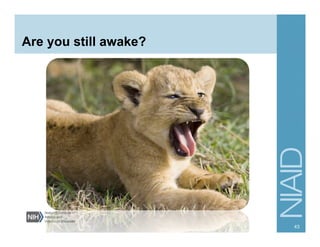 Are you still awake?
43
 