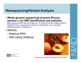 Resequencing/Variant Analysis
§  Whole genome sequencing of peach (Prunus
persica L.) for SNP identification and selection.
BMC Genomics. 2011 Nov 22;12:569. doi: 10.1186/1471-2164-12-569. Ahmad R,
Parfitt DE, Fass J, Ogundiwin E, Dhingra A, Gradziel TM, Lin D, Joshi NA,
Martinez-Garcia PJ, Crisosto CH.
§  Methods
•  Mapping: BWA
•  SNP calling: SAMtools
55http://www.themoneytimes.com/files/peach.jpg?1270231192
 