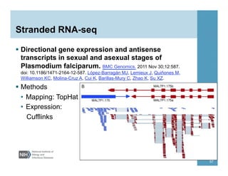 Stranded RNA-seq
§  Directional gene expression and antisense
transcripts in sexual and asexual stages of
Plasmodium falciparum. BMC Genomics. 2011 Nov 30;12:587.
doi: 10.1186/1471-2164-12-587. López-Barragán MJ, Lemieux J, Quiñones M,
Williamson KC, Molina-Cruz A, Cui K, Barillas-Mury C, Zhao K, Su XZ.
§  Methods
•  Mapping: TopHat
•  Expression:
Cufflinks
57
 