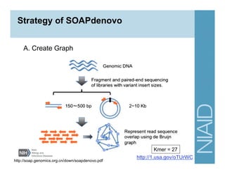 http://soap.genomics.org.cn/down/soapdenovo.pdf
A. Create Graph
Kmer = 27
Strategy of SOAPdenovo
http://1.usa.gov/oTUrWC
 
