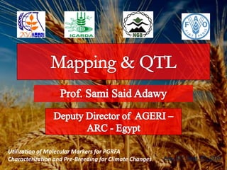 Aladdin Hamwieh
Mapping and Applications of Linkage
Disequilibrium and Association
Mapping in Crop Plants
 