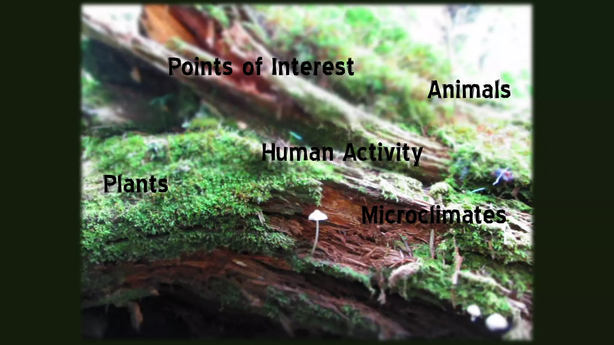 Plants
Animals
Points of Interest
Microclimates
Human Activity
 