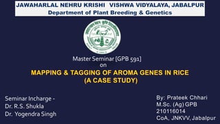 Master Seminar [GPB 591]
By: Prateek Chhari
M.Sc. (Ag) GPB
210116014
CoA, JNKVV, Jabalpur
)
on
Seminar Incharge -
Dr. R.S. Shukla
Dr. Yogendra Singh
 