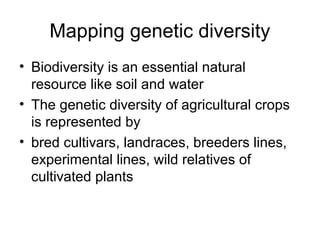 Mapping genetic diversity
• Biodiversity is an essential natural
resource like soil and water
• The genetic diversity of agricultural crops
is represented by
• bred cultivars, landraces, breeders lines,
experimental lines, wild relatives of
cultivated plants
 