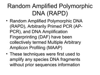 Random Amplified Polymorphic
DNA (RAPD)
• Random Amplified Polymorphic DNA
(RAPD), Arbitrarily Primed PCR (AP-
PCR), and DNA Amplification
Fingerprinting (DAF) have been
collectively termed Multiple Arbitrary
Amplicon Profiling (MAAP)
• These techniques were first used to
amplify any species DNA fragments
without prior sequences information
 