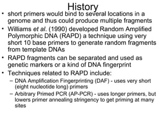 History
• short primers would bind to several locations in a
genome and thus could produce multiple fragments
• Williams et al. (1990) developed Random Amplified
Polymorphic DNA (RAPD) a technique using very
short 10 base primers to generate random fragments
from template DNAs
• RAPD fragments can be separated and used as
genetic markers or a kind of DNA fingerprint
• Techniques related to RAPD include:
– DNA Amplification Fingerprinting (DAF) - uses very short
(eight nucleotide long) primers
– Arbitrary Primed PCR (AP-PCR) - uses longer primers, but
lowers primer annealing stringency to get priming at many
sites
 