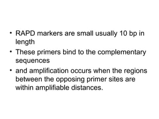 • RAPD markers are small usually 10 bp in
length
• These primers bind to the complementary
sequences
• and amplification occurs when the regions
between the opposing primer sites are
within amplifiable distances.
 