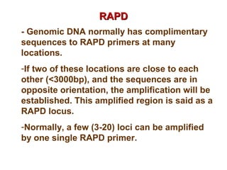RAPDRAPD
- Genomic DNA normally has complimentary
sequences to RAPD primers at many
locations.
-If two of these locations are close to each
other (<3000bp), and the sequences are in
opposite orientation, the amplification will be
established. This amplified region is said as a
RAPD locus.
-Normally, a few (3-20) loci can be amplified
by one single RAPD primer.
 