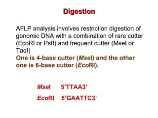 AFLP analysis involves restriction digestion of
genomic DNA with a combination of rare cutter
(EcoRI or PstI) and frequent cutter (MseI or
TaqI)
One is 4-base cutter (MseI) and the other
one is 6-base cutter (EcoRI).
DigestionDigestion
MseI 5’TTAA3’
EcoRI 5’GAATTC3’
 